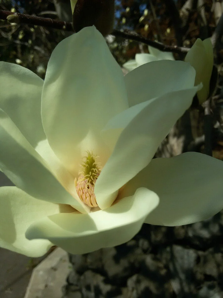 20180312_130227.jpg?type=w1200