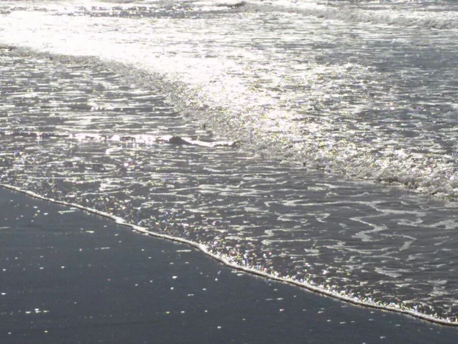 20180217_150103.jpg?type=w1200