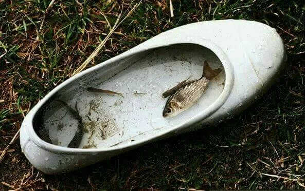 1448711919738.jpeg?type=w1200