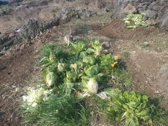 000-1.jpg?type=w1200