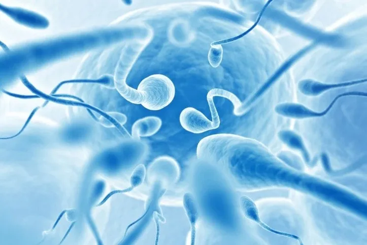 다운로드 (1).jfif