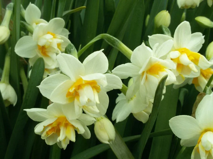 20180222_122411.jpg?type=w1200