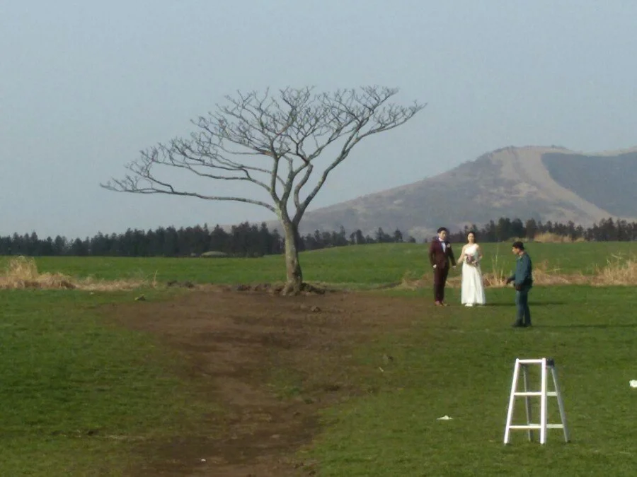 20180311_163341.jpg?type=w1200