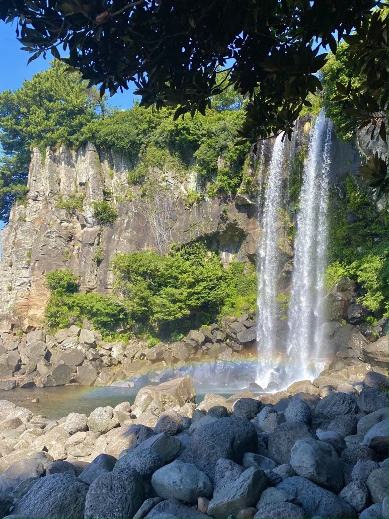 304013DC-CAC5-4502-B0CD-76911758BD30 (1).jpeg