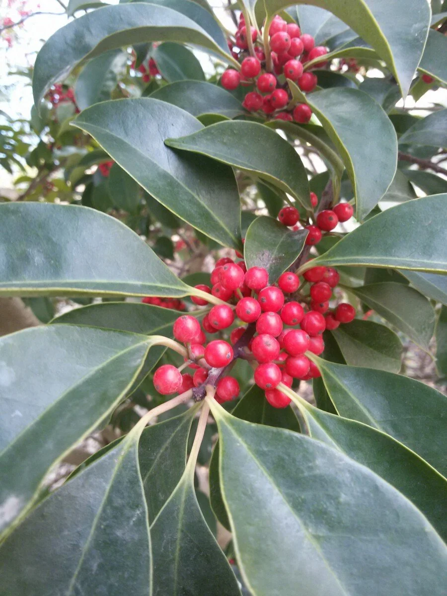 20180223_113653.jpg?type=w1200