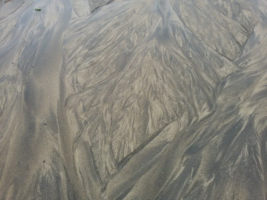 20180528_165531.jpg?type=w1200