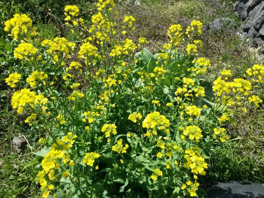 20180312_125804.jpg?type=w1200