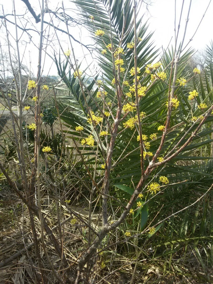 20180312_101328.jpg?type=w1200