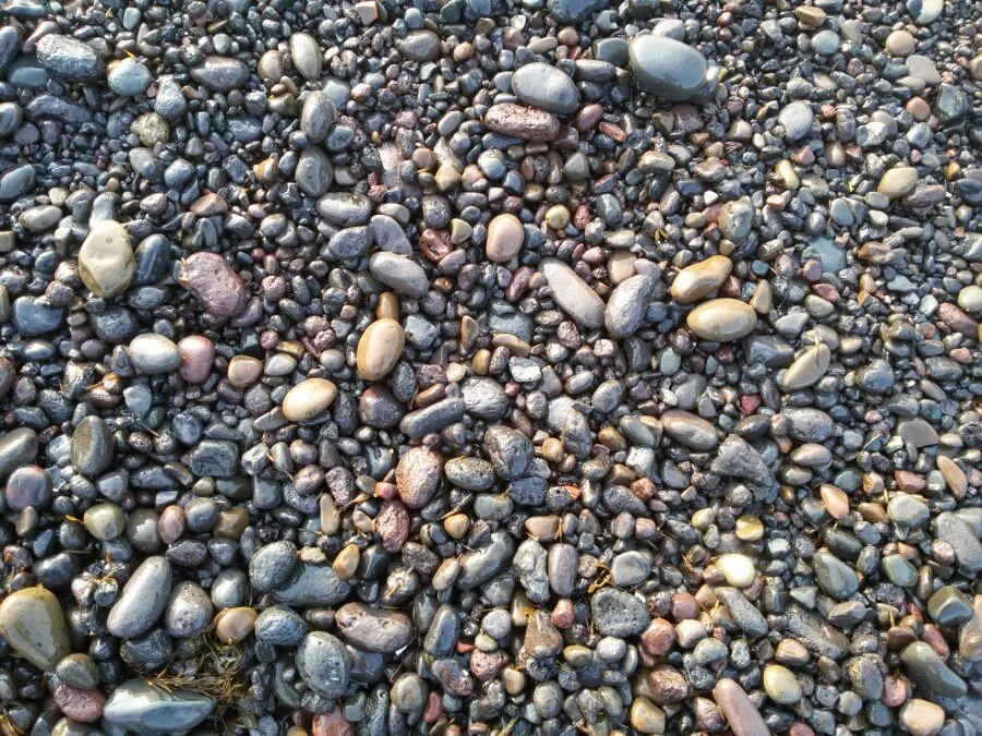 20180216_172838.jpg?type=w1200