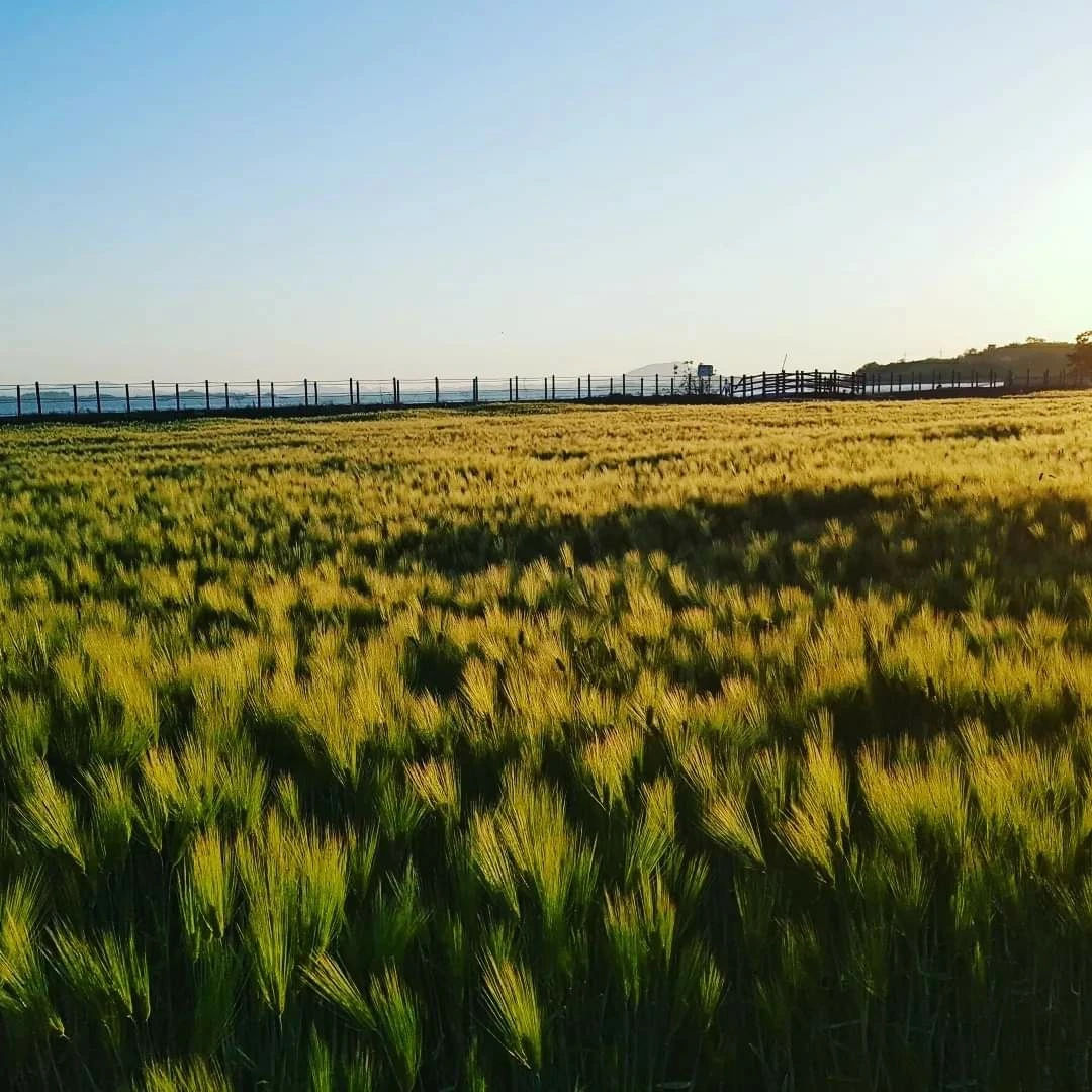 att-e5061e73498e4680922256dff6c4cb94.do