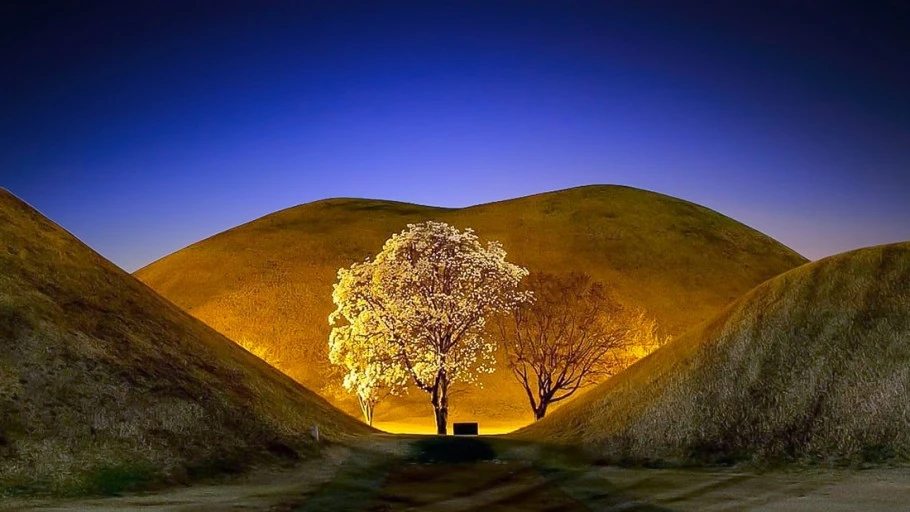 다운로드 (10).jfif