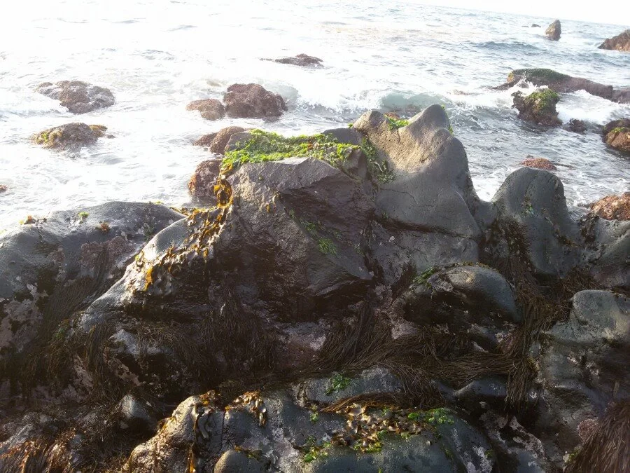 20180216_172938.jpg?type=w1200