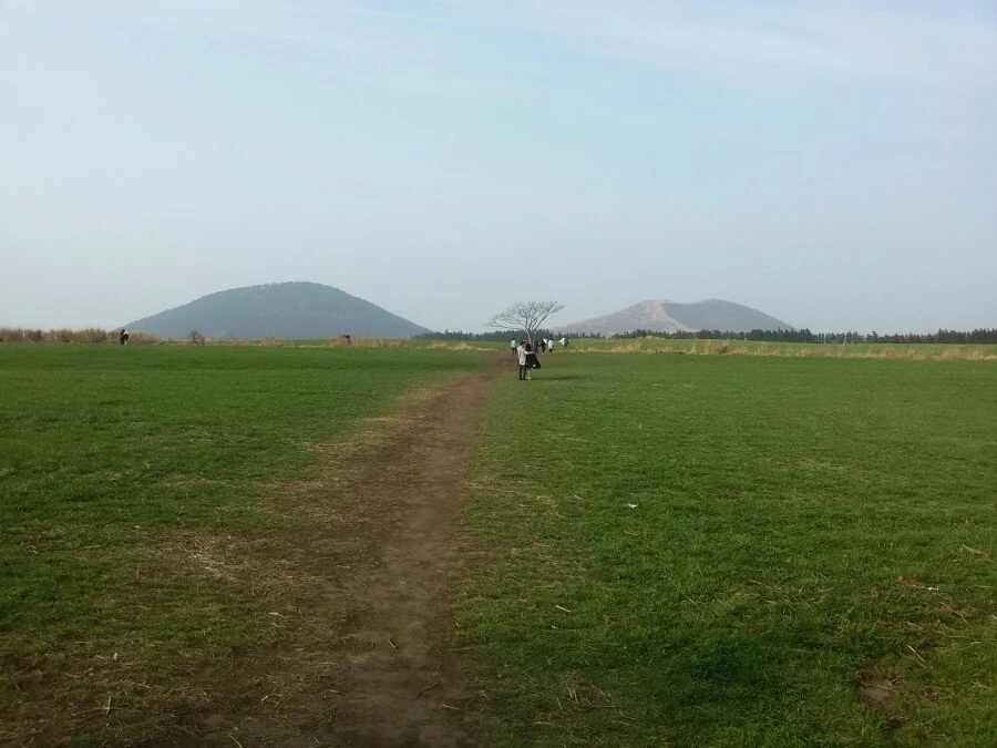 20180311_163946.jpg?type=w1200