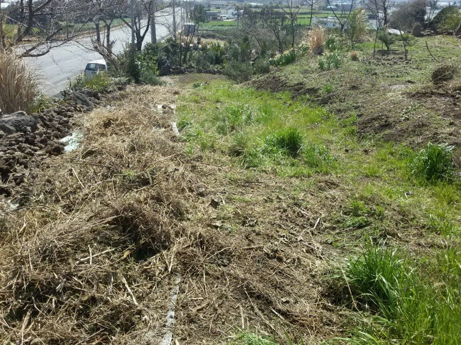 20180312_124945.jpg?type=w1200