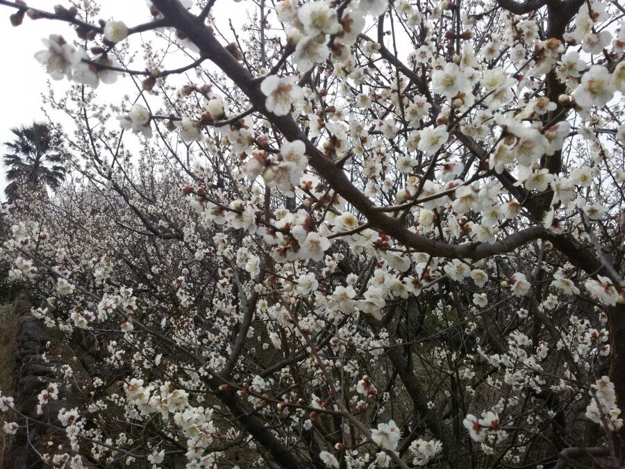 20180222_122001.jpg?type=w1200