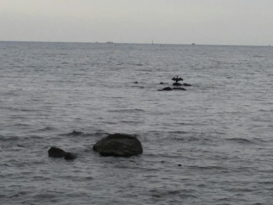 20180218_145745.jpg?type=w1200