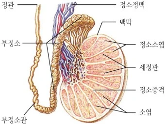 cf6_9629_i1.jpg?type=w340_fst&wm=N