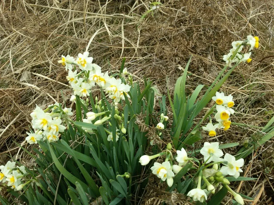 20180222_124351.jpg?type=w1200