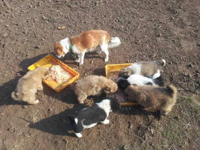 000-17.jpg?type=w1200