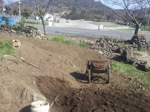 000-5.jpg?type=w1200