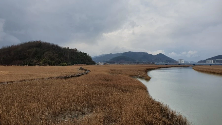 다운로드 (14).jfif