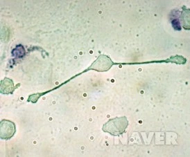 208_i10.jpg?type=h227_2&wm=Y