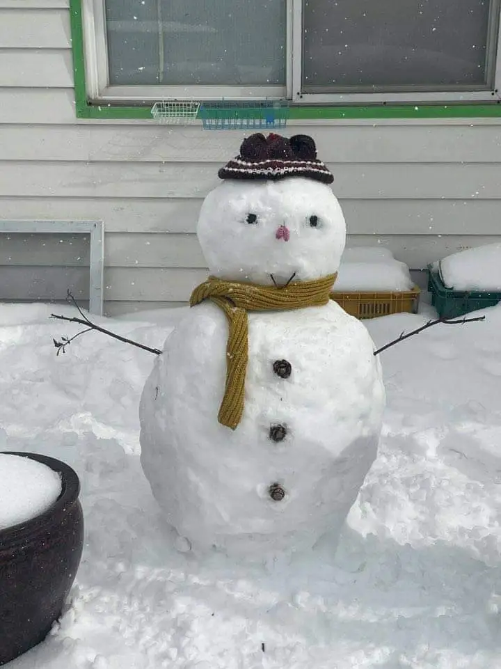 554a98681a373411b49a8fc385a7c552b1e84d6a