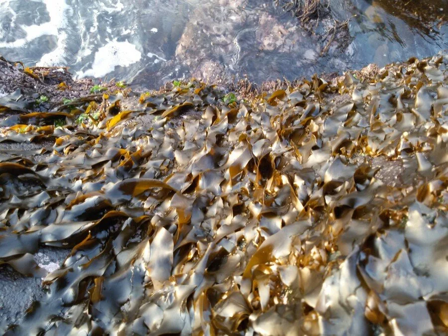 20180216_173233.jpg?type=w1200