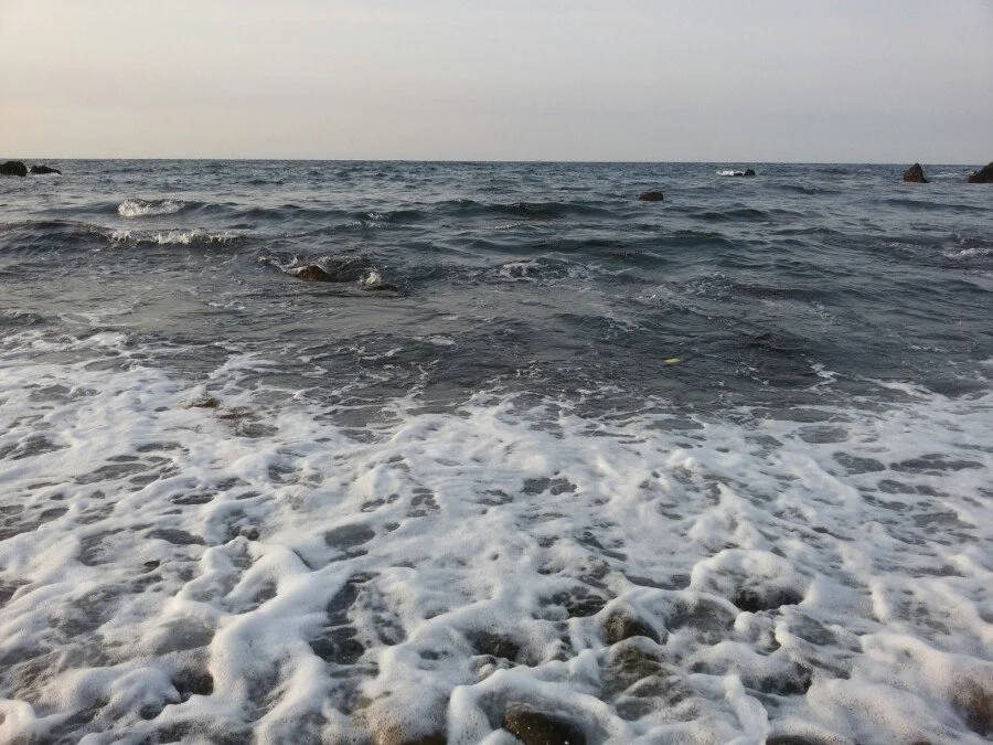 20180216_172213.jpg?type=w1200