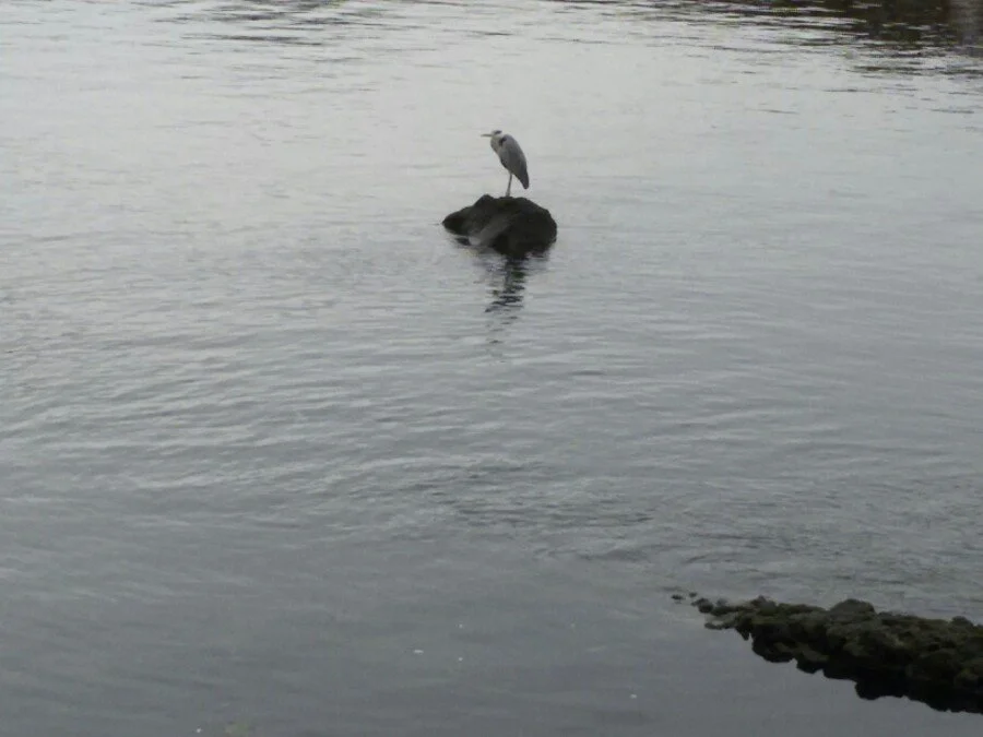 20180218_145106.jpg?type=w1200