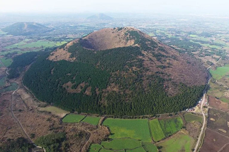 다운로드 (4).jfif