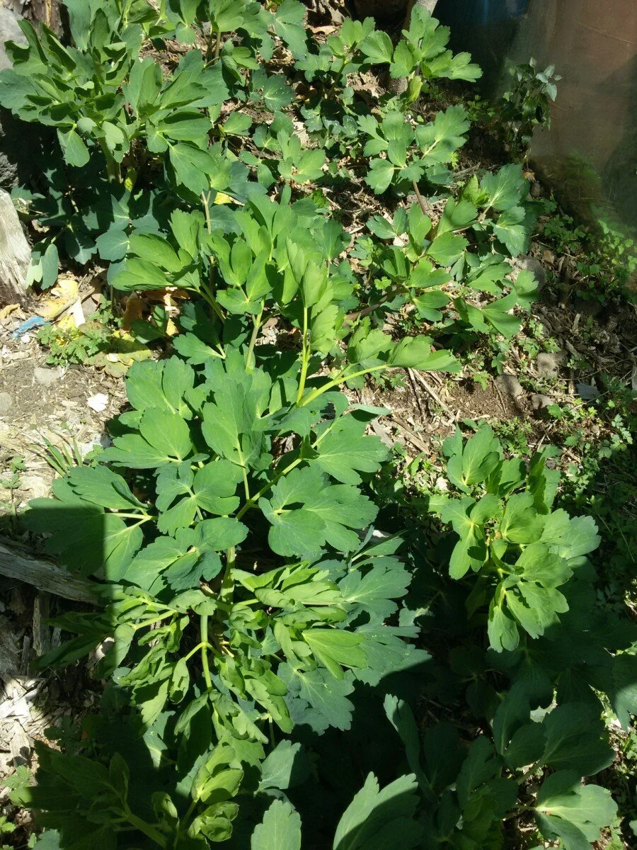 20180312_124846.jpg?type=w1200