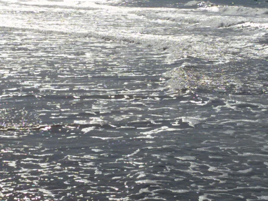 20180217_145928.jpg?type=w1200