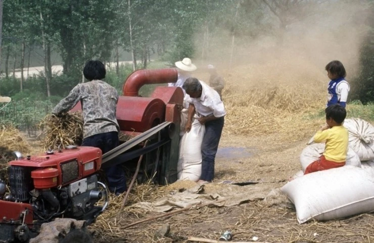 downloadfile (1).jpeg