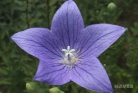 s_sm3_41_i5.jpg?type=w276_fst_n&wm=Y