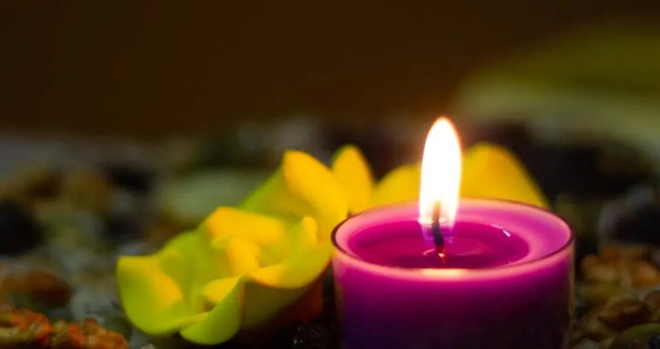 다운로드 (3).jfif