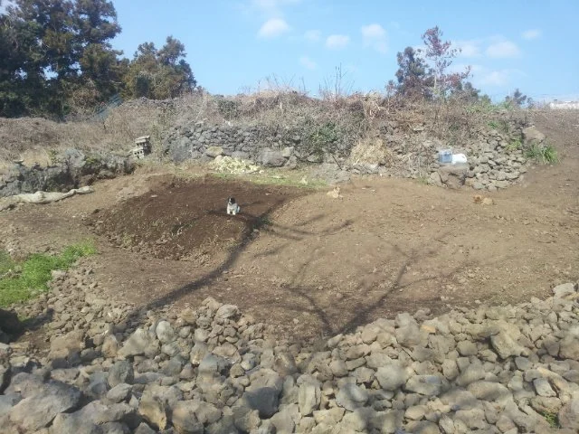 000-55.jpg?type=w1200