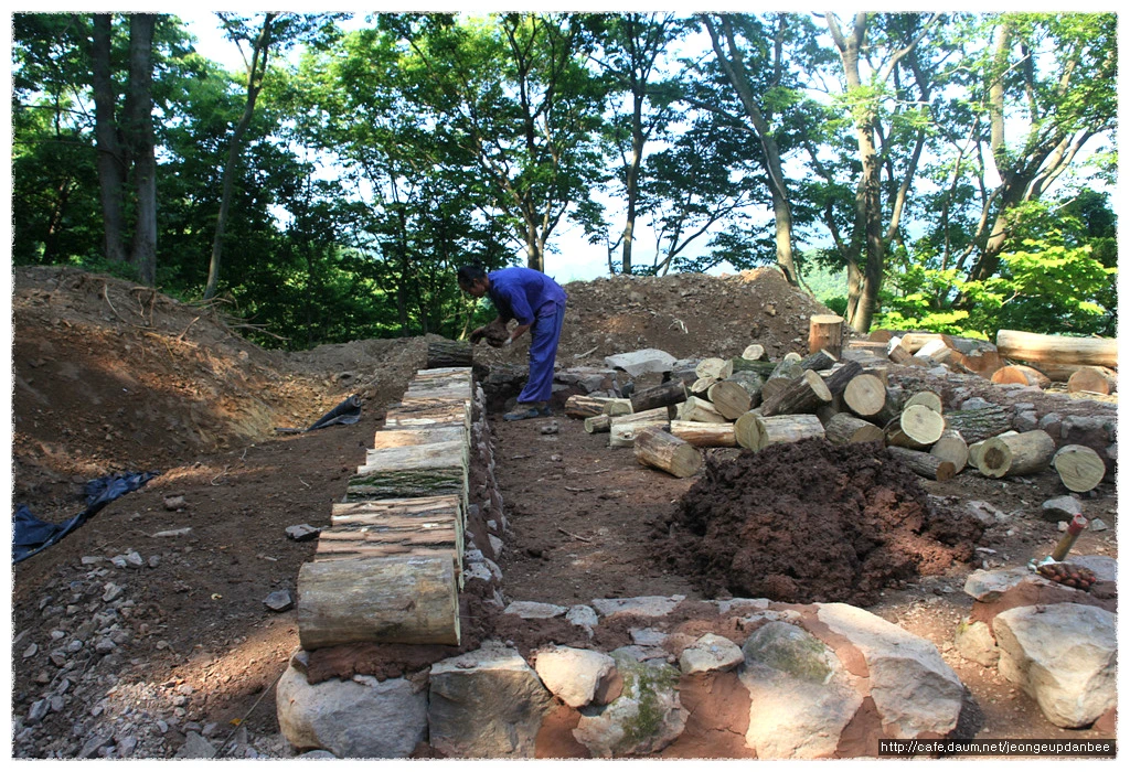 0211A94B50ACD0DD0B863F