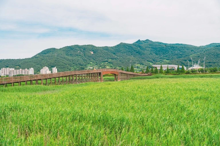 다운로드 (12).jfif