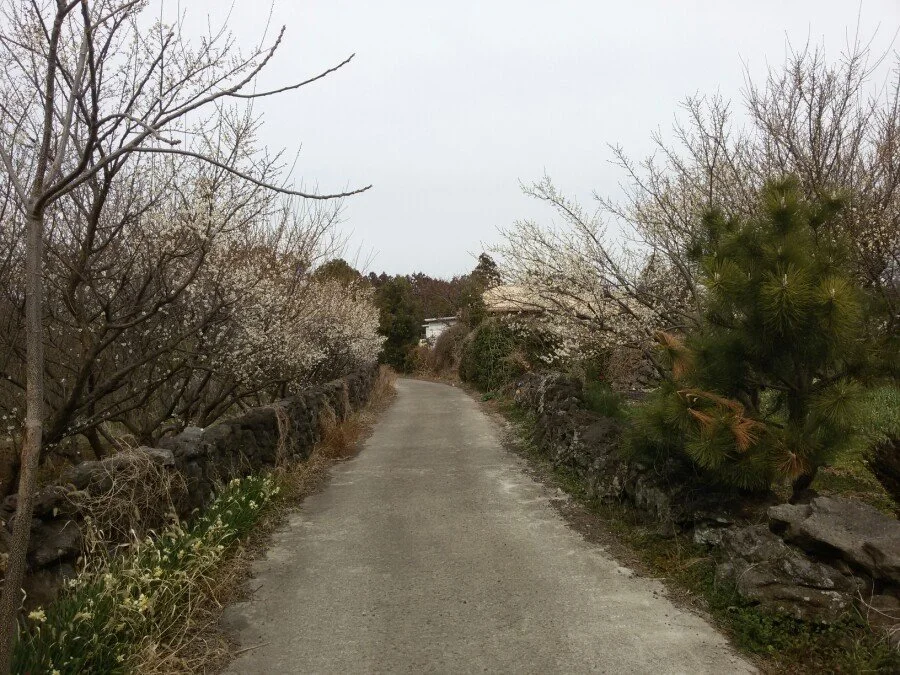 20180222_121812.jpg?type=w1200