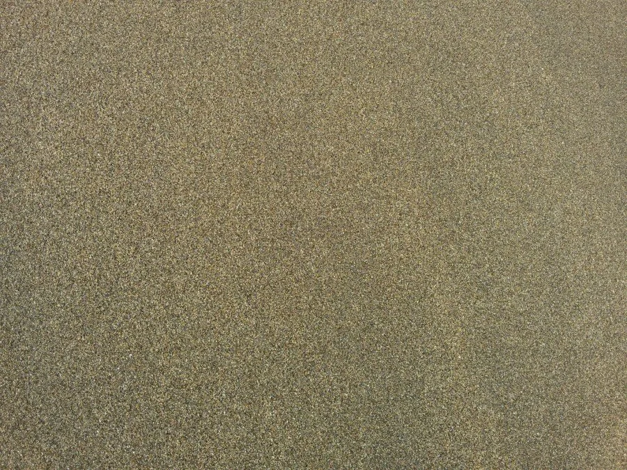 20180217_132145.jpg?type=w1200