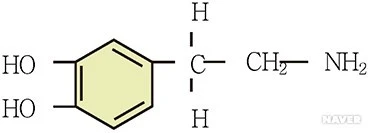 ?src=%22https%3A%2F%2Fdbscthumb-phinf.pstatic.net%2F4652_000_1%2F20160927102939855_QYIURUQ4U.jpg%2Fja100_20801_i1.jpg%3Ftype%3Dm4500_4500_fst_n%26wm%3DY%22&twidth=370&theight=133&opts=17