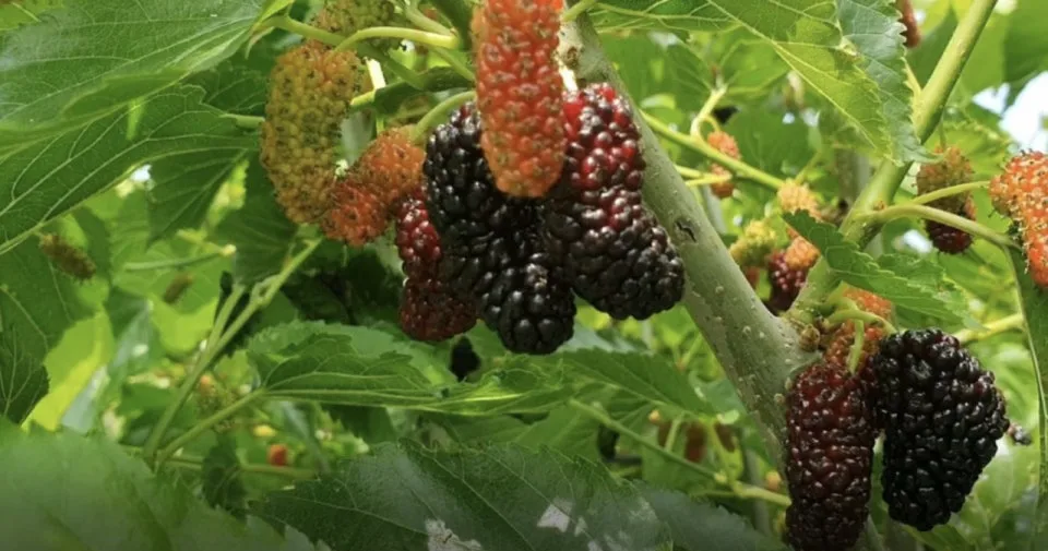 다운로드 (14).jfif