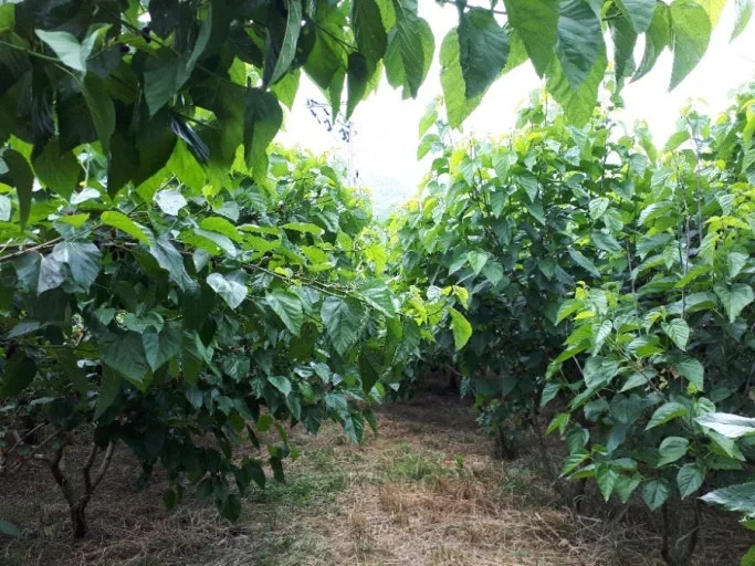 다운로드 (28).jfif