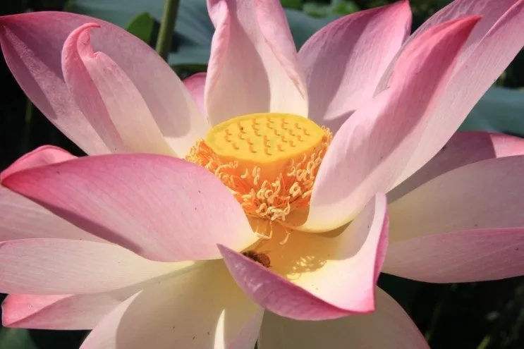 다운로드 (31).jfif