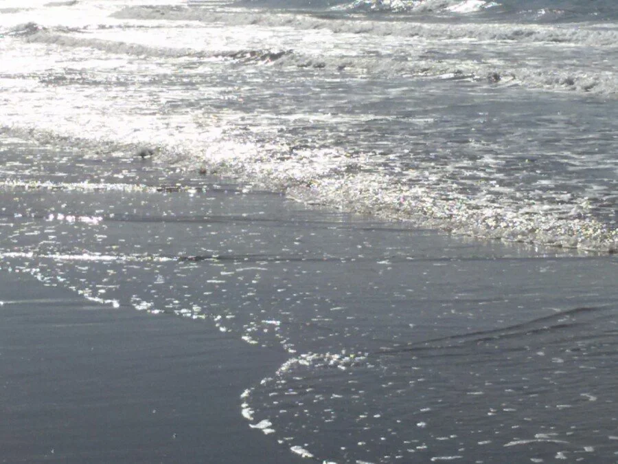 20180217_150006.jpg?type=w1200