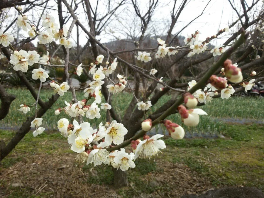 20180222_121844.jpg?type=w1200