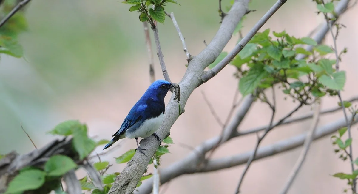 88627_82040_4516.JPG?type=w1200