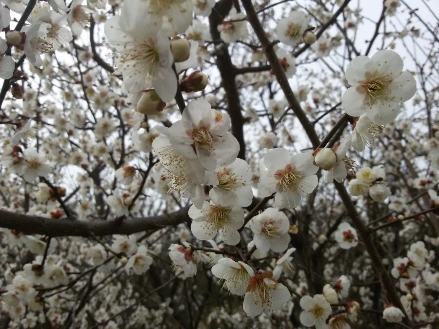 20180222_122020.jpg?type=w1200