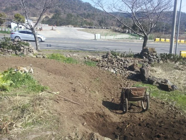 000-4.jpg?type=w1200